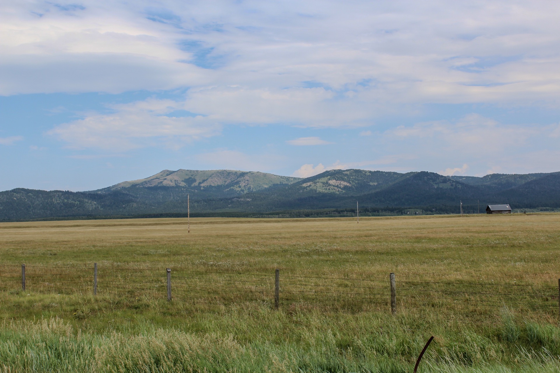 Mount Two Top