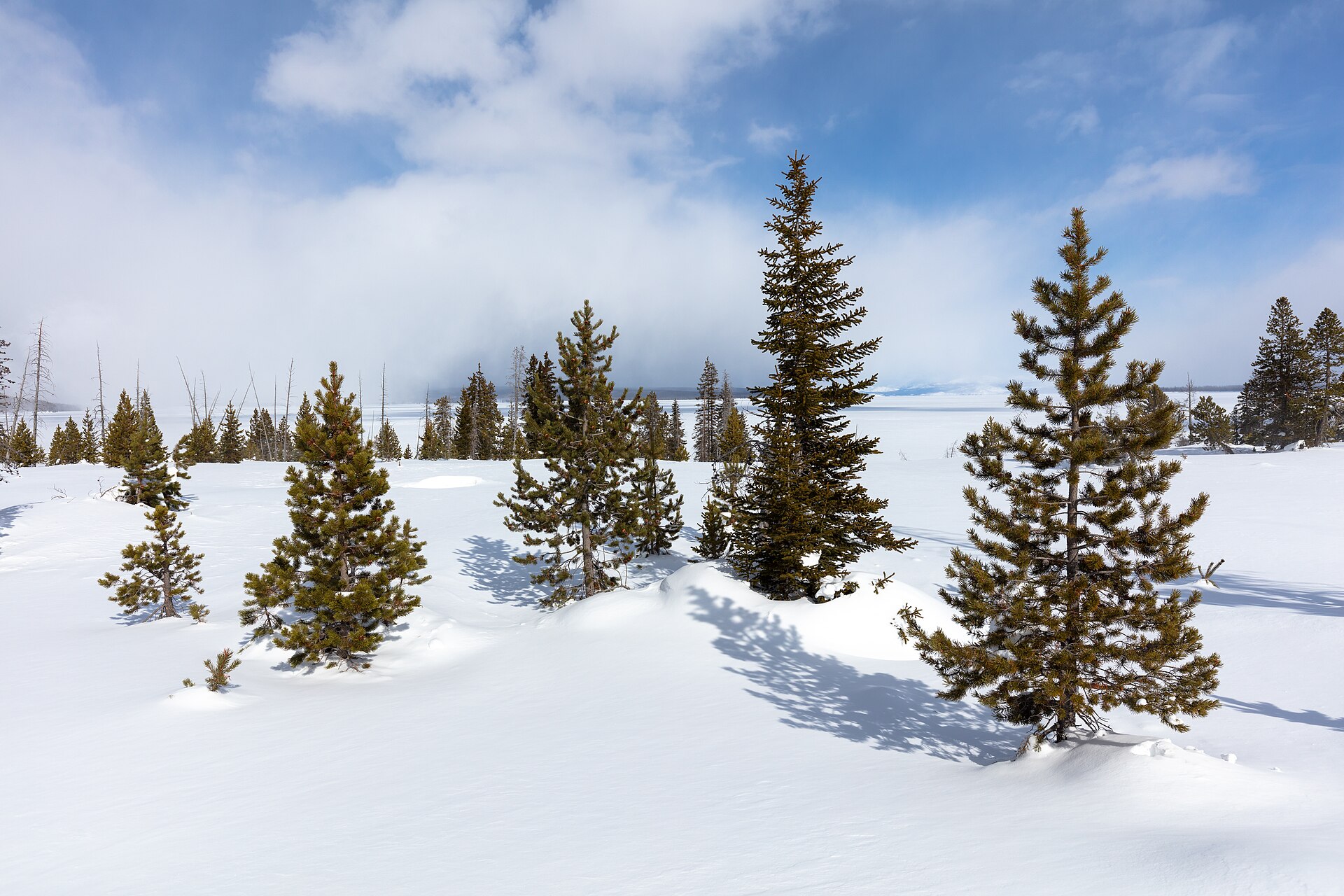 West Thumb in winter