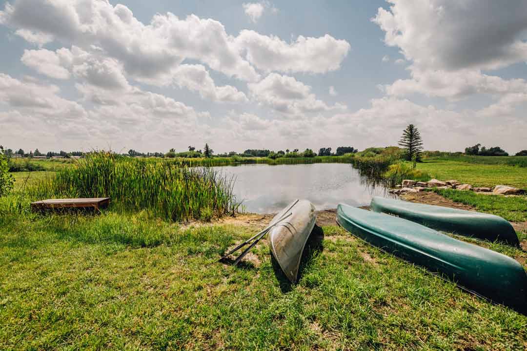 Canoes at the pond